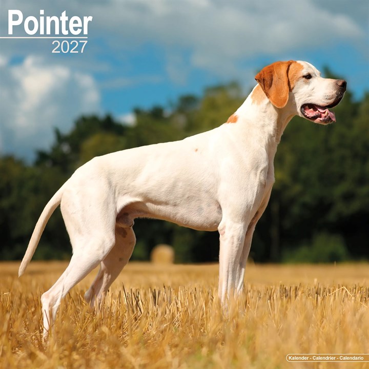 Pointer Calendar 2027