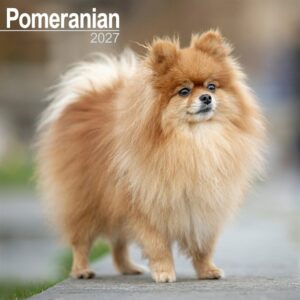 Pomeranian Calendar 2027