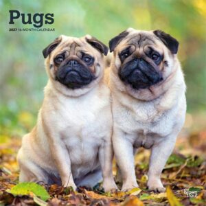 Pugs Calendar 2027