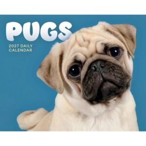 Pugs Desk Calendar 2027