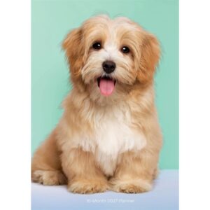 Puppies A5 Diary 2027