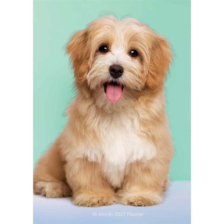 Puppies A5 Diary 2027