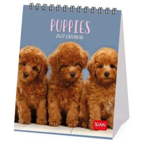 Puppies Easel Desk Calendar 2027