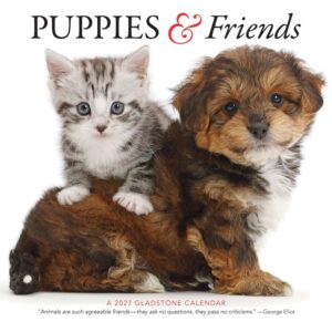 Puppies & Friends Calendar 2027