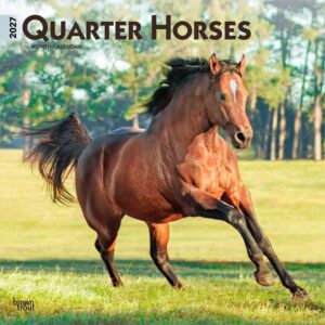 Quarter Horses Calendar 2027