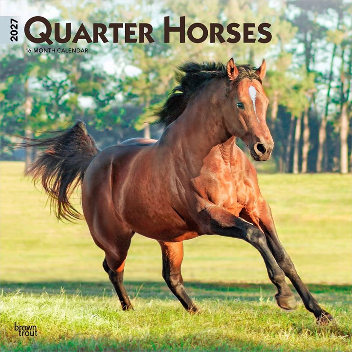Quarter Horses Calendar 2027