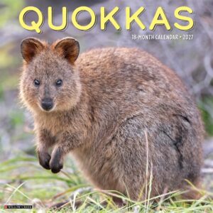 Quokkas Calendar 2027
