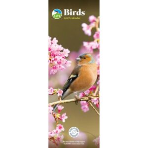 RSPB
