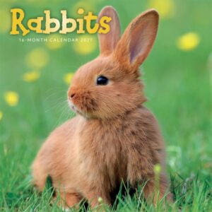 Rabbits Calendar 2027
