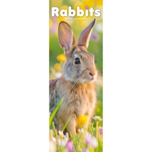 Rabbits Slim Calendar 2027