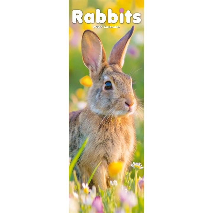 Rabbits Slim Calendar 2027