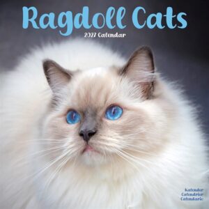 Ragdoll Cats Calendar 2027
