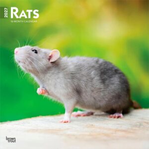 Rats Calendar 2027