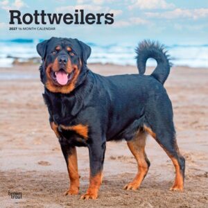 Rottweilers Calendar 2027