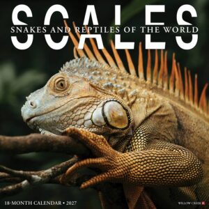Scales