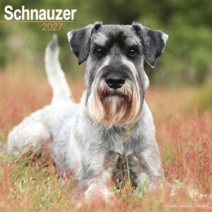 Schnauzer Calendar 2027