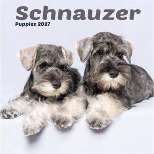 Schnauzer Puppies Mini Calendar 2027
