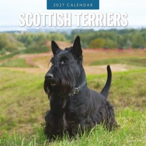 Scottish Terriers Calendar 2027
