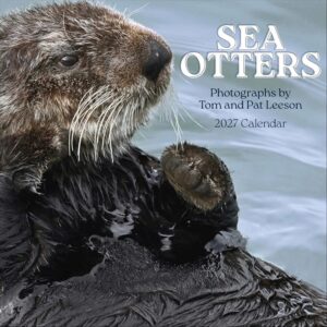 Sea Otters Calendar 2027
