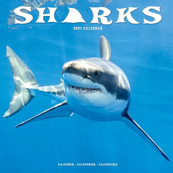 Sharks Calendar 2027