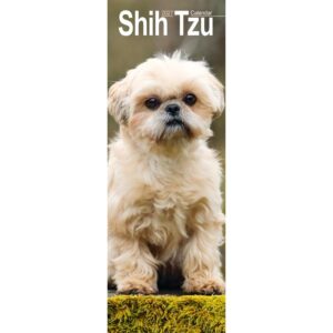 Shih Tzu Slim Calendar 2027