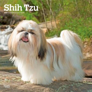 Shih Tzus Calendar 2027