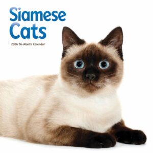 Siamese Cats Calendar 2026