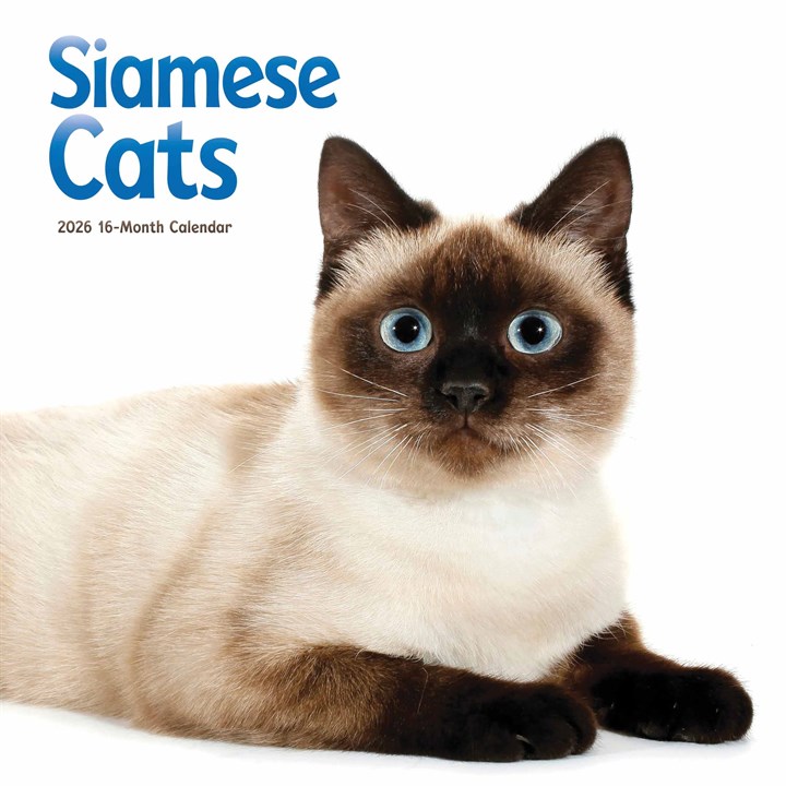 Siamese Cats Calendar 2026