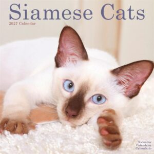 Siamese Cats Calendar 2027