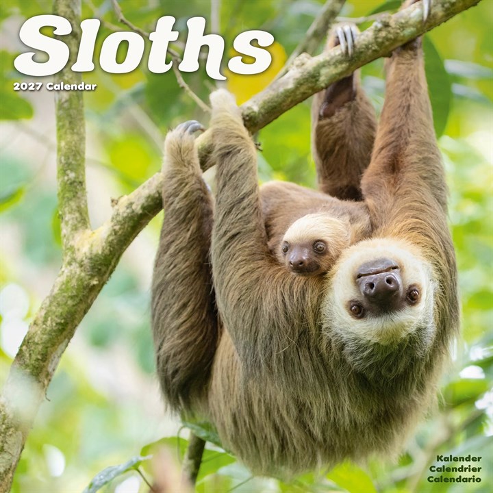 Sloths Calendar 2027