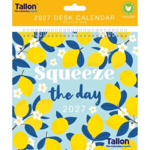 Squeeze The Day Easel Desk Calendar 2027