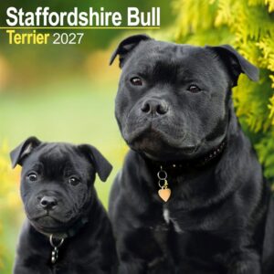 Staffordshire Bull Terrier Calendar 2027