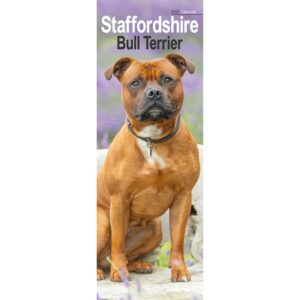 Staffordshire Bull Terrier Slim Calendar 2027