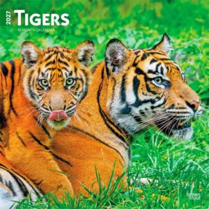 Tigers Calendar 2027