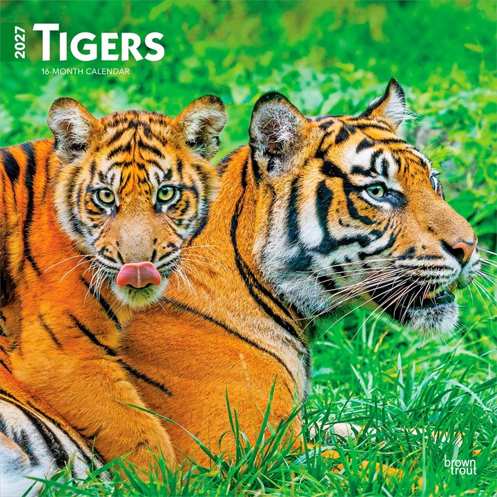 Tigers Calendar 2027