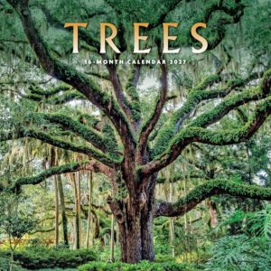 Trees Calendar 2027