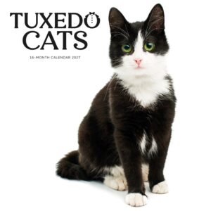 Tuxedo Cats Calendar 2027