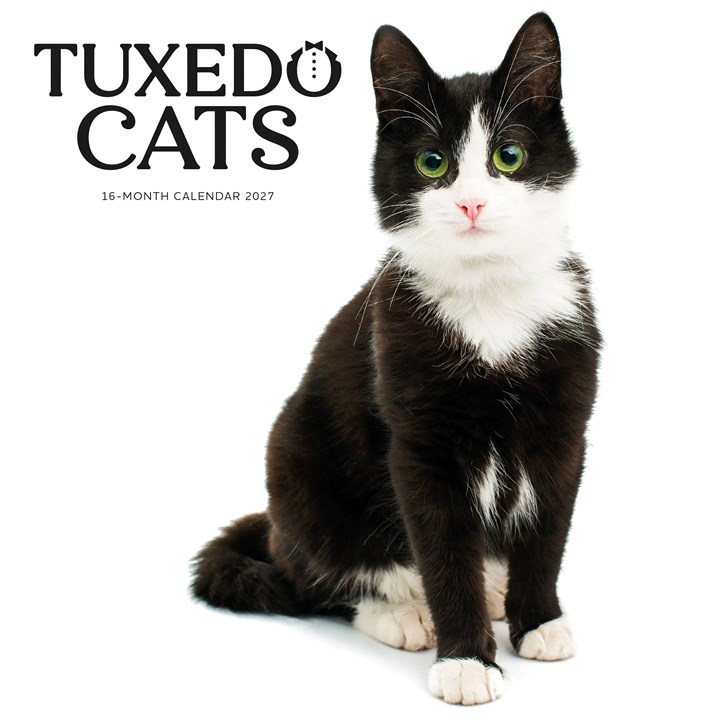 Tuxedo Cats Calendar 2027