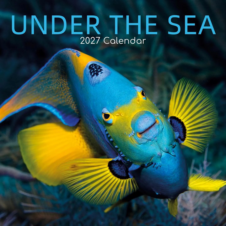 Under The Sea Calendar 2027
