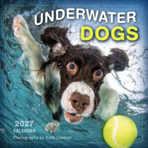 Underwater Dogs Calendar 2027