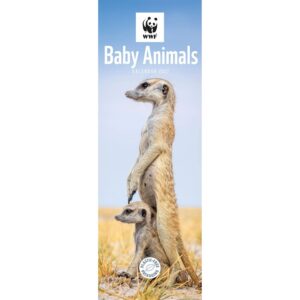 WWF