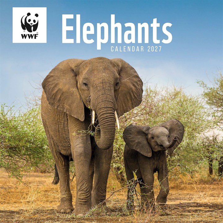 WWF