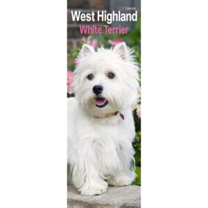 West Highland White Terrier Slim Calendar 2027