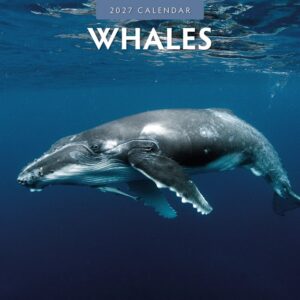 Whales Calendar 2027