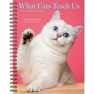 What Cats Teach Us A5 Diary 2027
