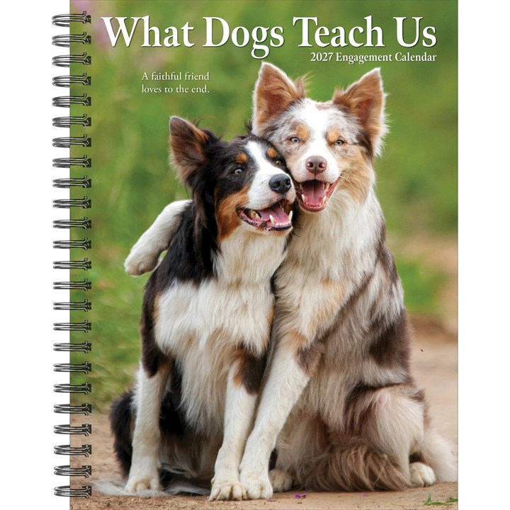 What Dogs Teach Us A5 Diary 2027