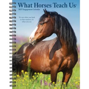 What Horses Teach Us A5 Diary 2027