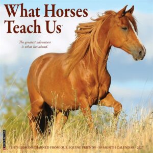 What Horses Teach Us Calendar 2027