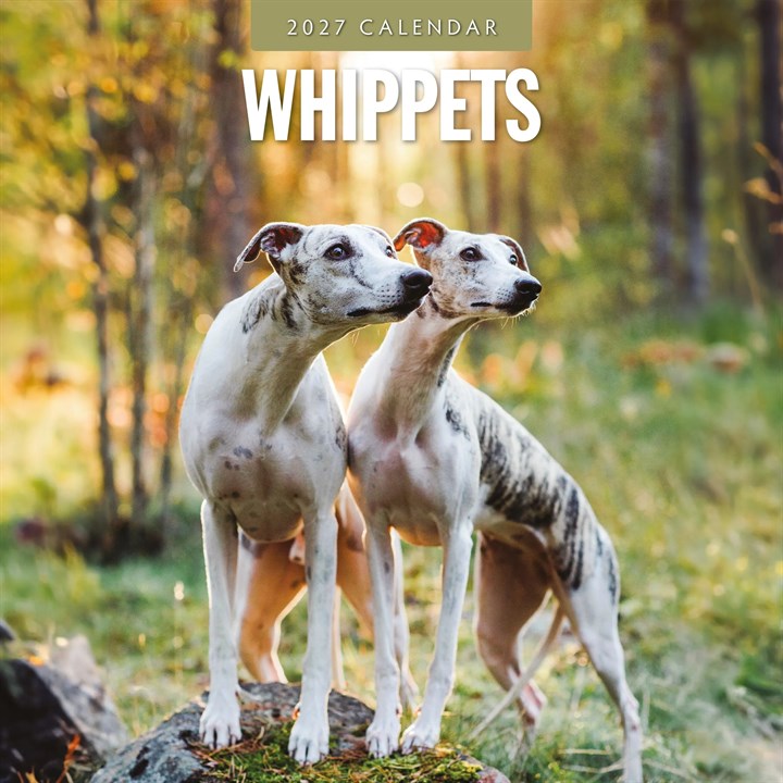 Whippets Calendar 2027