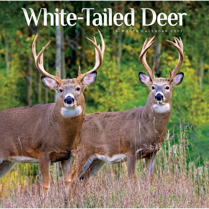 White-Tailed Deer Calendar 2027